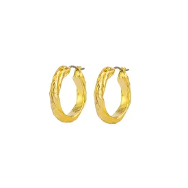 Catalina Hoops